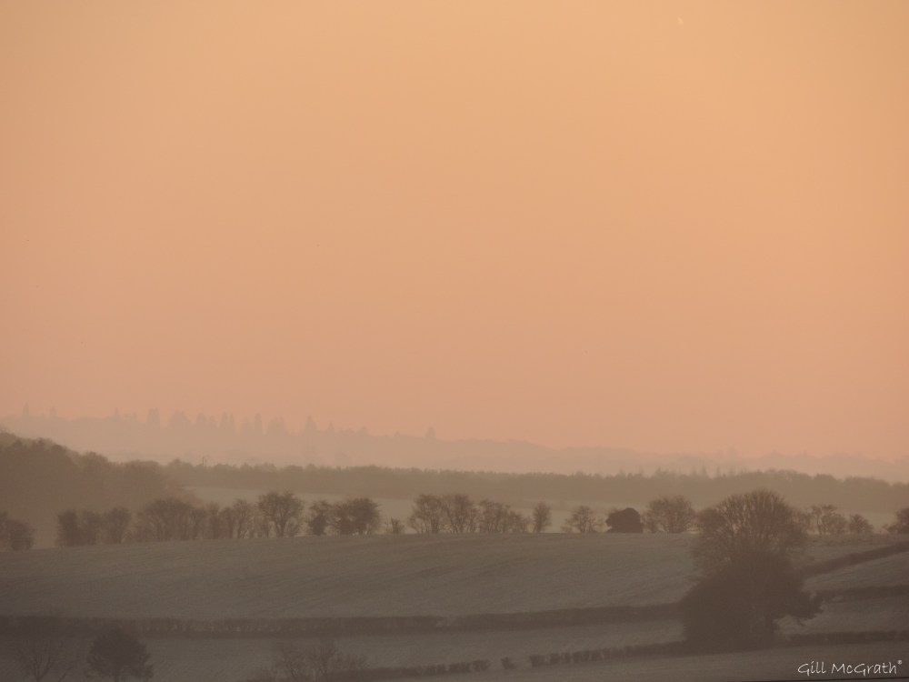 2015 02 22 721 pink valley  jpg sig