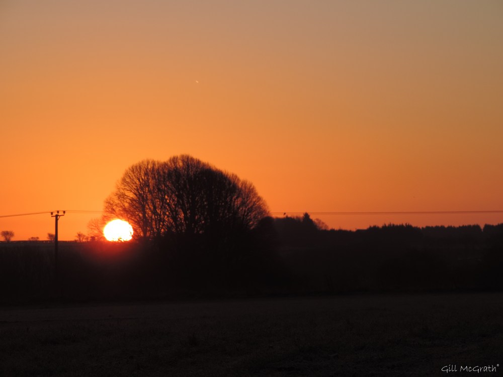 2015 02 22 first peek 715 jpg sig