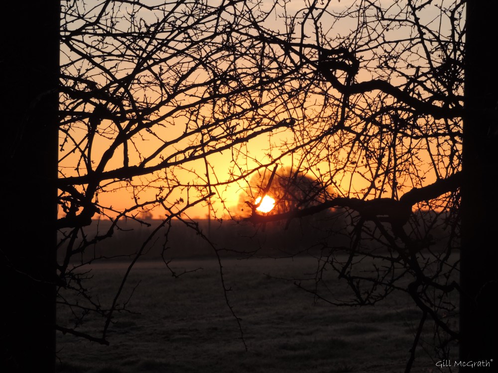 2015 02 22 first peek  718 jpg sig