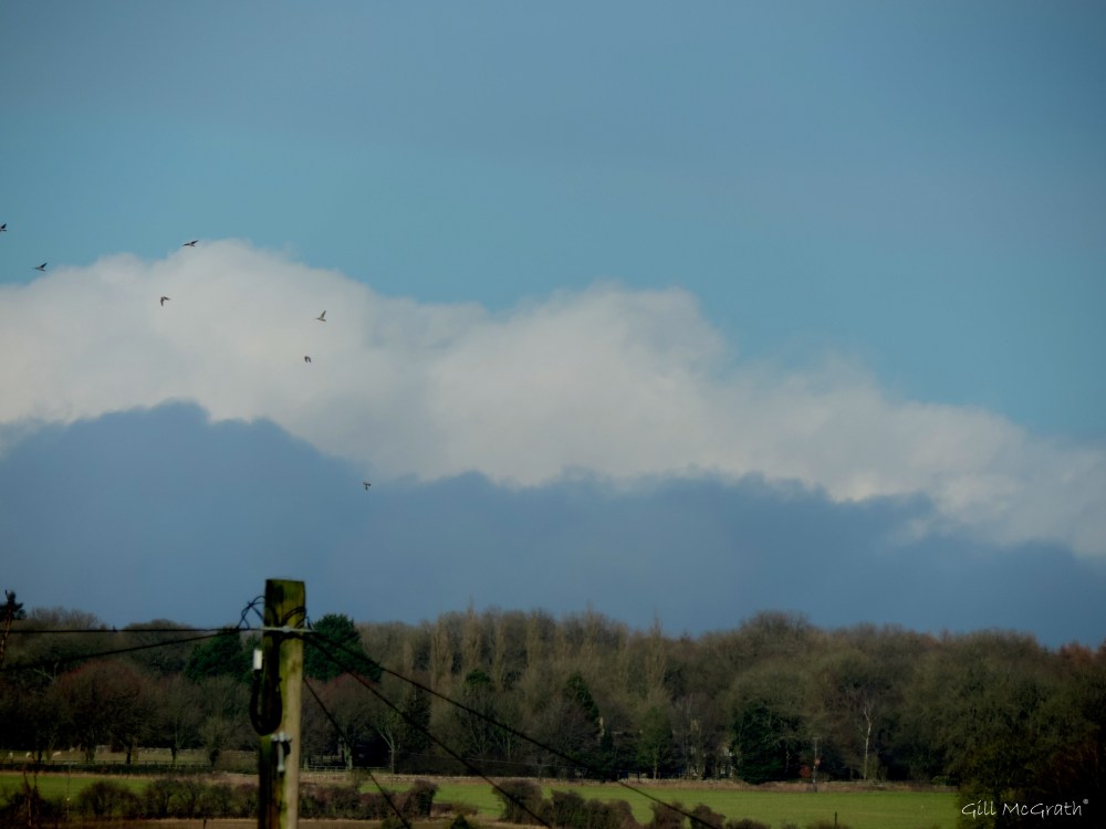 2015 02 23 indigo jpg sig