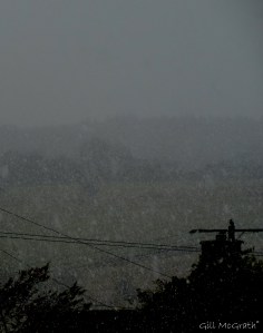 2015  02 23 snow scene  end of road   jpg sig