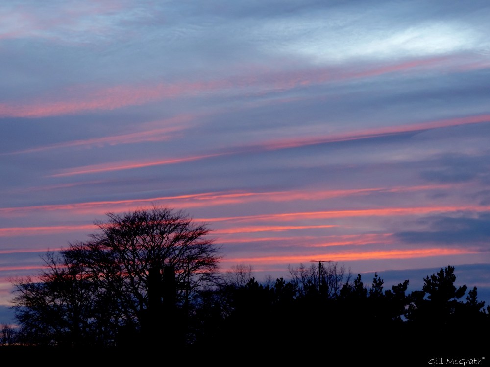 2015 02 27 550 pm voile jpg sig