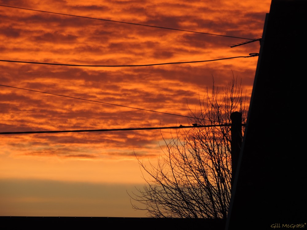 2015 02 28  2014 03 05 503 029 morning  jpg sig