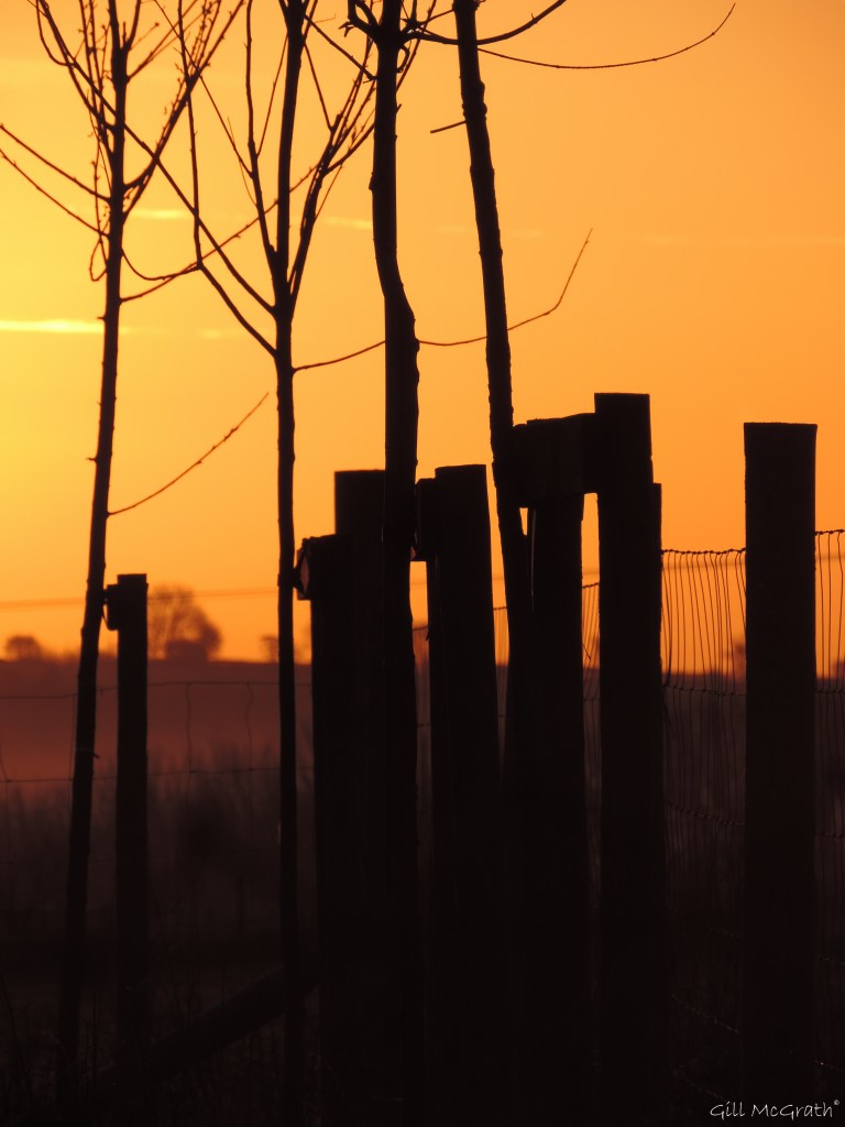 2015 02 28 2014 03 05 527 052 last year jpg sig