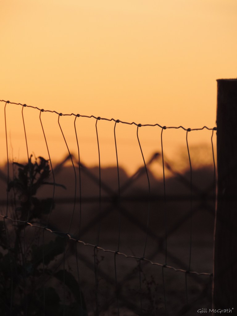 2015 02 28  2014 03 05 529 056 last year 2 jpg sig