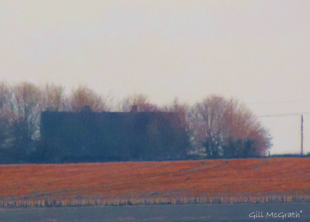 2015 03 01 glim 6 jpg sig