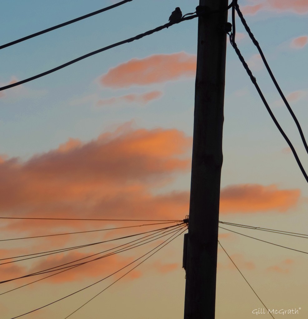 2015 03 01 march sky glim 2 jpg sig