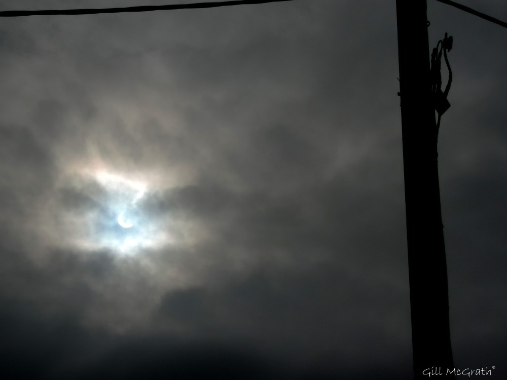 2015 03 02  4 DSCN6587jpg sig