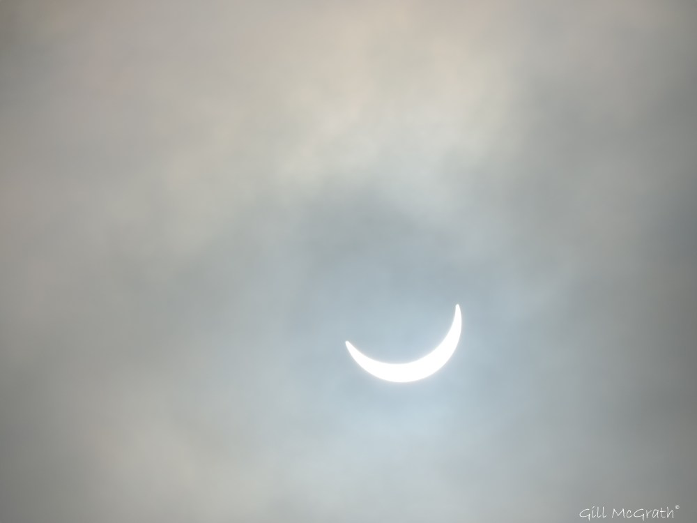 2015 03 02 5 DSCN6616 jpg sig