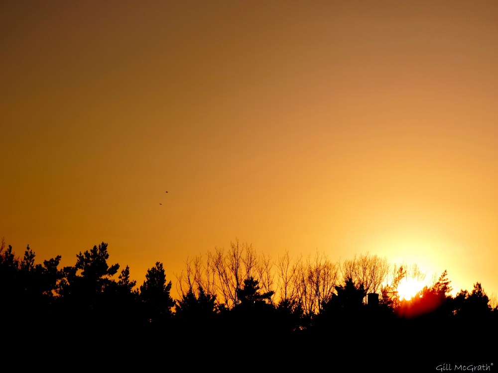 2015 03 02 bright edge 4 jpg sig