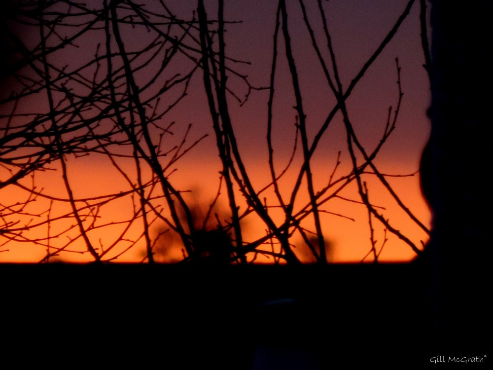 2015 03 02  orange trace jpg sig