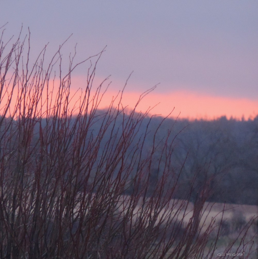 2015 03 02 purple light this morning before 7 jpg sig