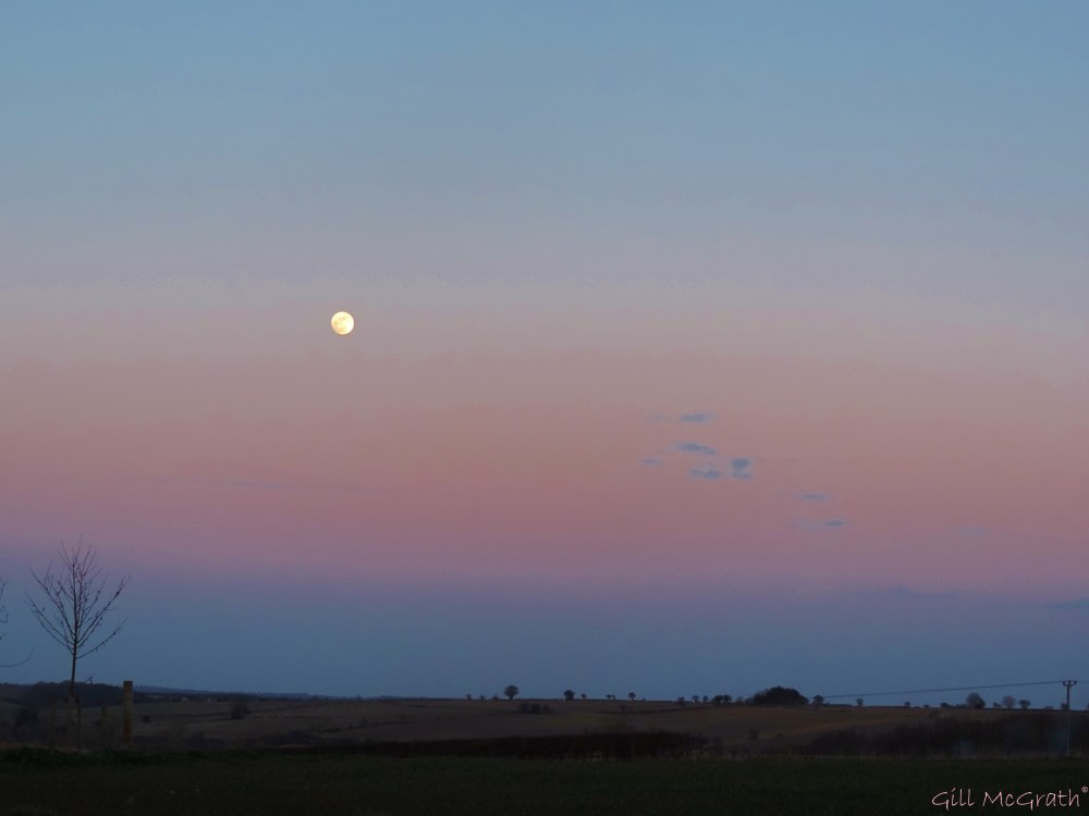 2015 03 04 moon tonight 2 jpg sig