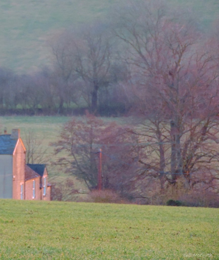 2015 03 04  side  rise jpg sig