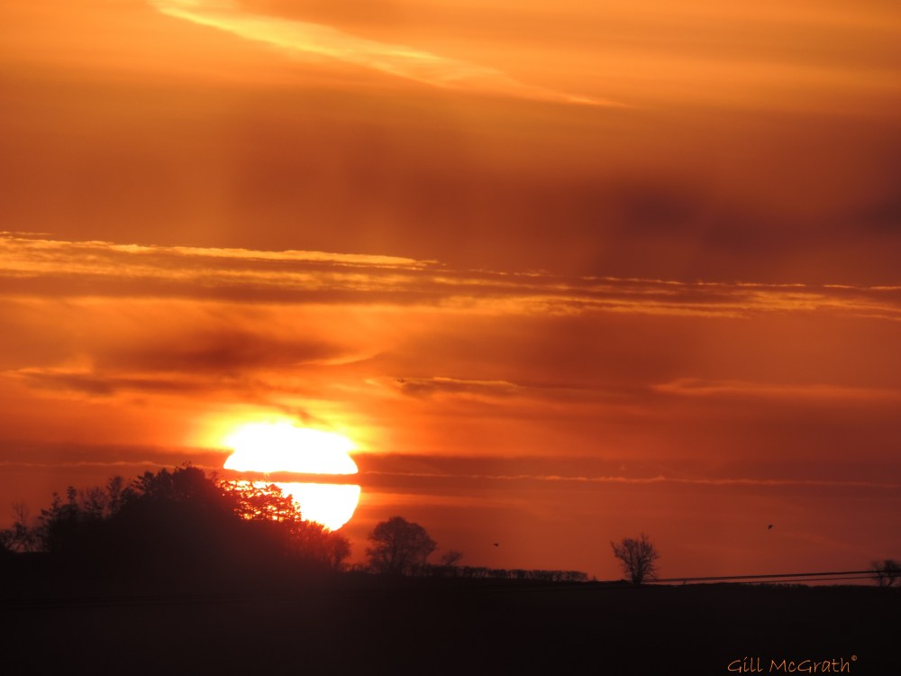 2015 03 05 plane three birds and the sun  652 jpg sig