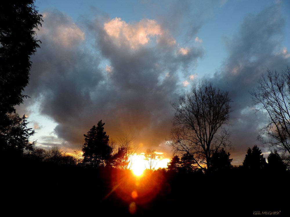 2015 03 08 squeezing the orange jpg sig