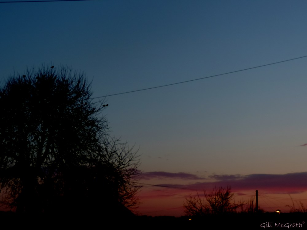 2015 03 11 5 625 pink  end road jpg sig