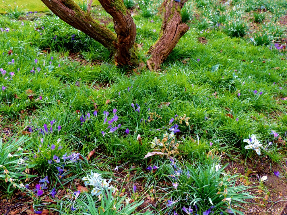 2015 03 16 water edge 2  jpg  sig