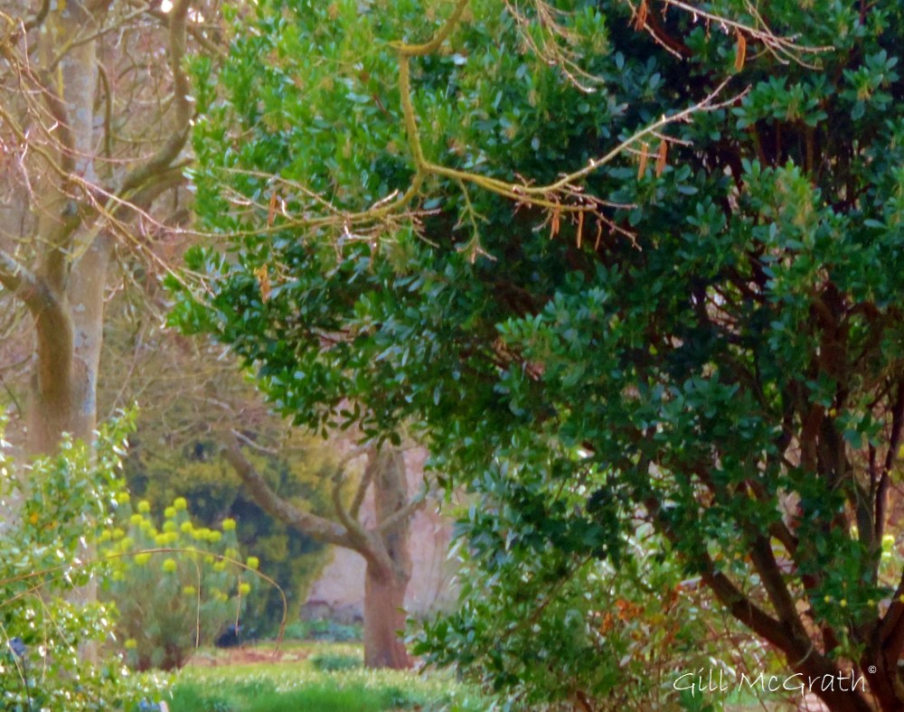 2015 03 18 framed view jpg sig