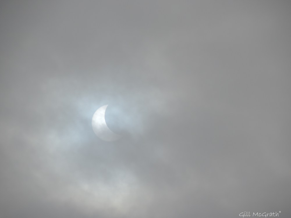 2015 03 20 1 DSCN6538jpg sig