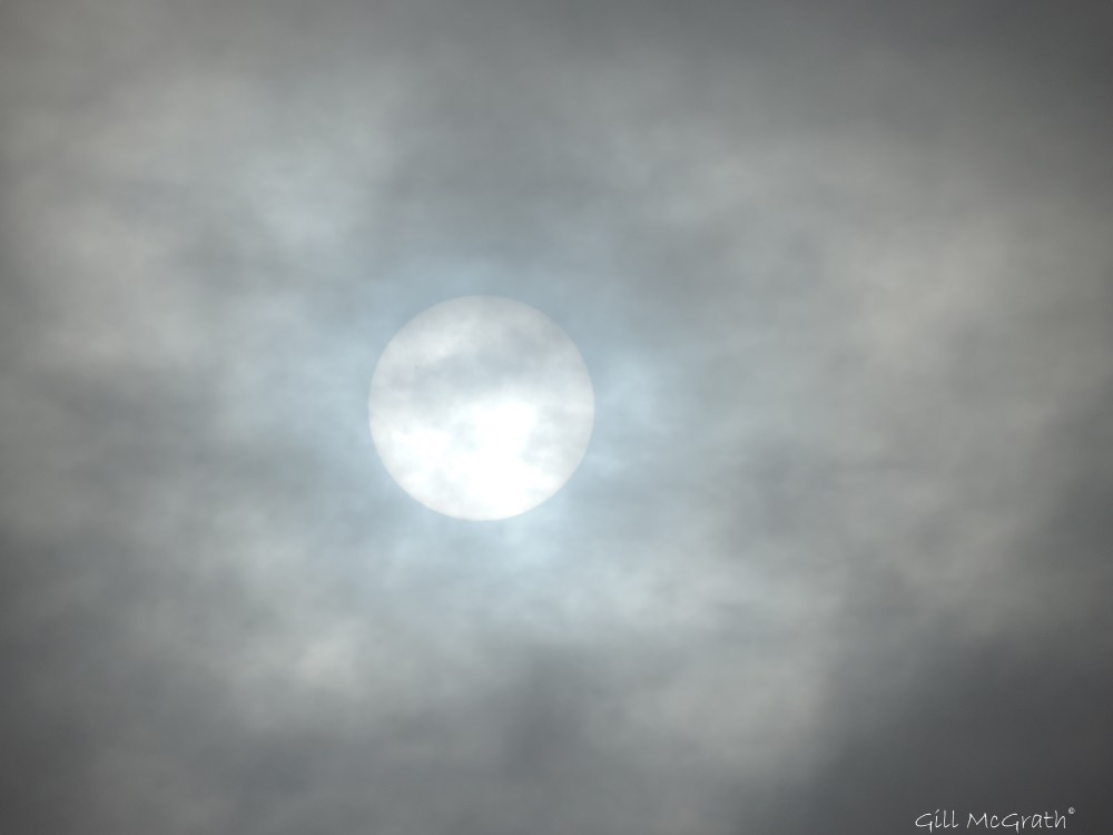 2015 03 20 sun 8 27 DSCN6509 jpg sig