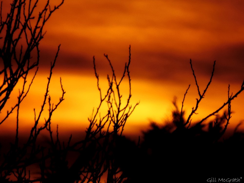 2015 03 22 2 looking for the moon sunset jpg sig