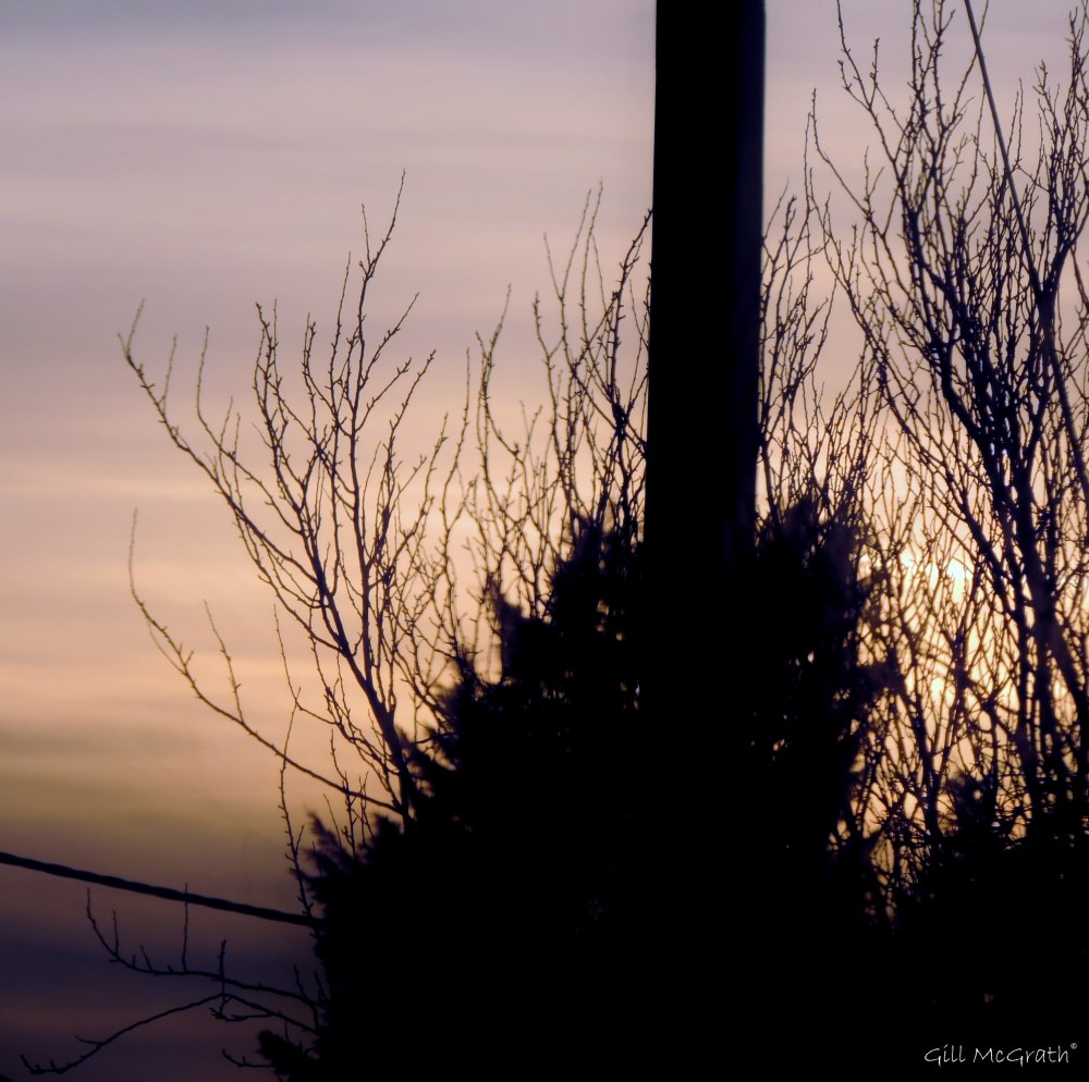 2015 03 23  mists  where they sit jpg sig