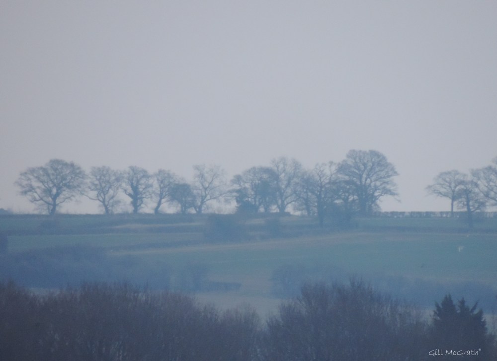 2015 03 25 sunset 5 jpg sig