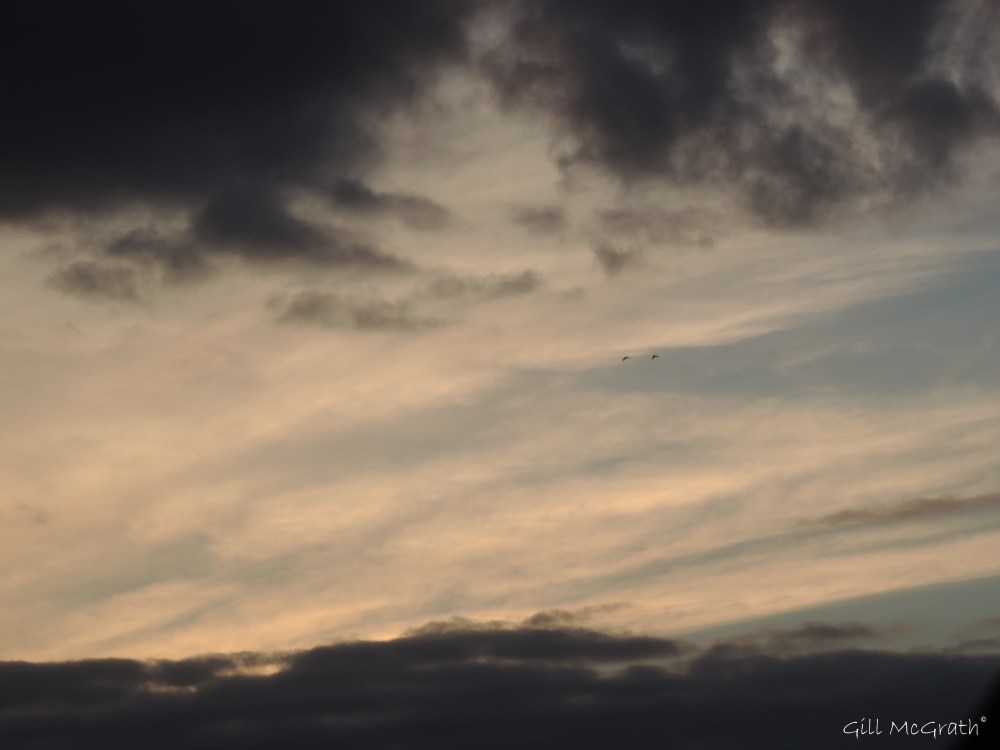 2015 03 27 7 evening 1830 sky jpg sig