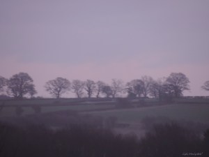 2015 03 31 536 6 violet  and wind in the air jpg sig