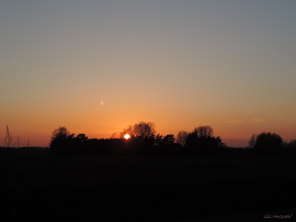 2014 21 04 804 sunset  jpg sig