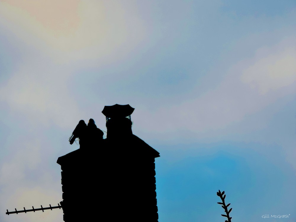 2015 04 05  kinda nice 5 jpg sig