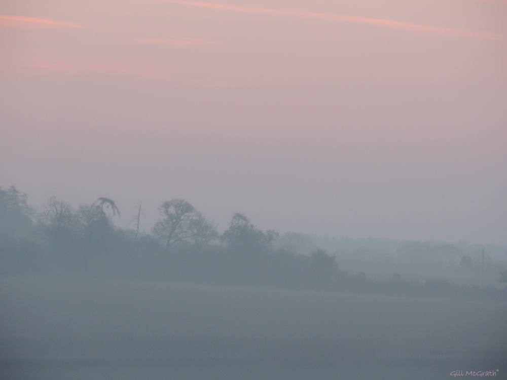 2015 04 06 627 1 pink mists  before dawn  1 jpg sig