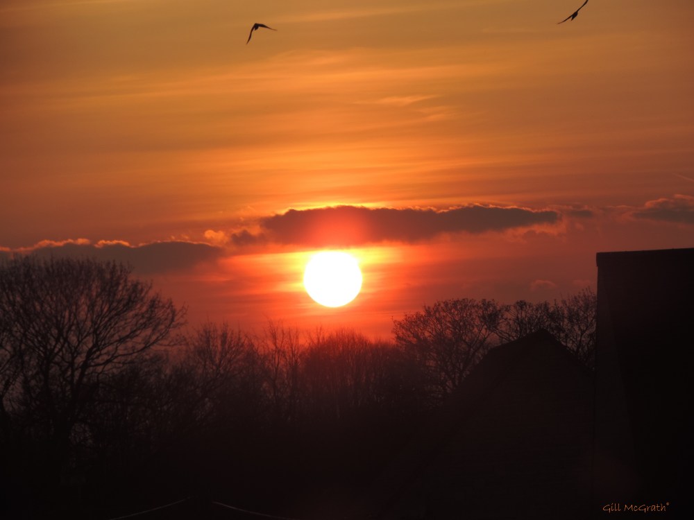 2015 04 06 DSCN8617 733 sun set jpg sig