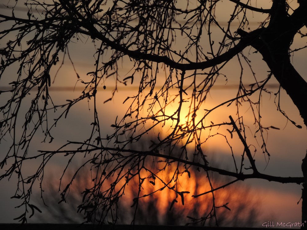 2015 04 10 649 garden sunrise jpg sig