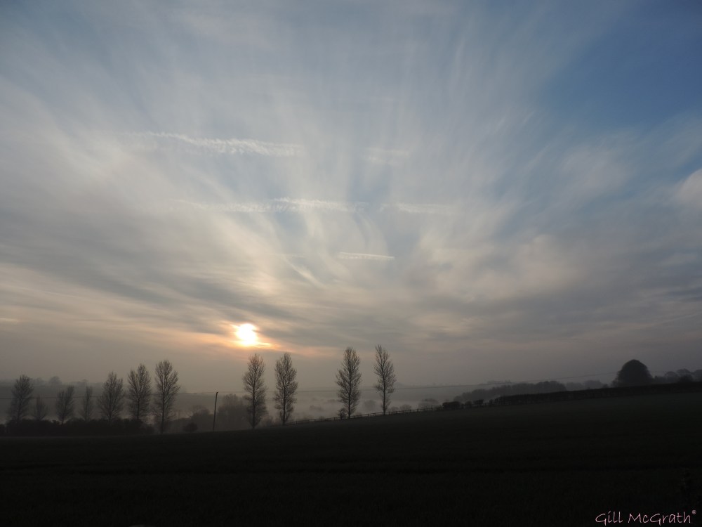 2015 04 10 711 field mist sun jpg sig