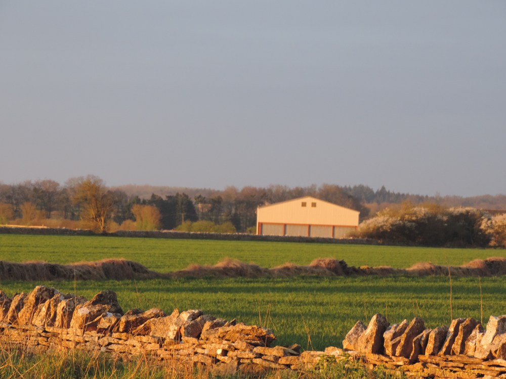 2015 04 11 648 sunrise  afterglow opposite  aswas  jpg sig