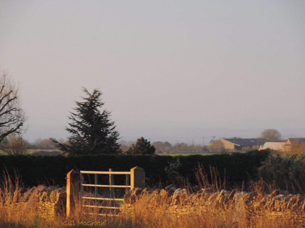 2015 04 11 649 sunrise  afterglow  gate   jpg sig