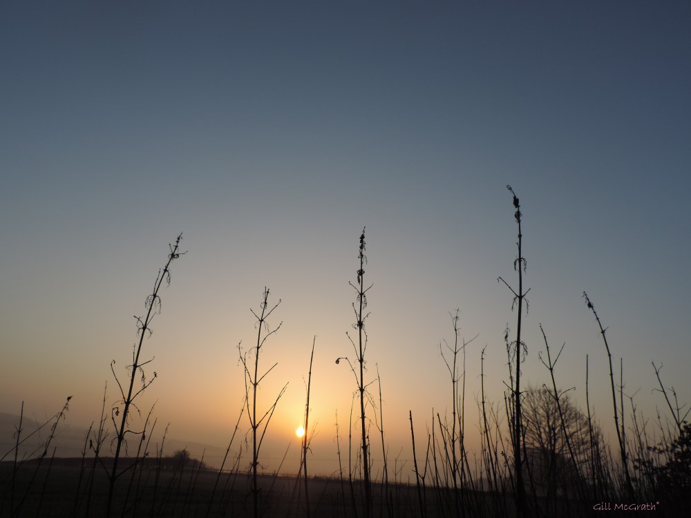 2015 04 15 633 balm beyond the rough edge jpg sig