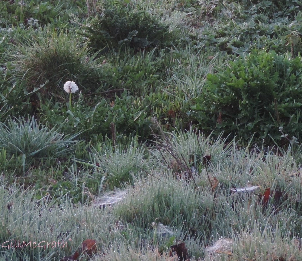 2015 04 15 638 spangling clock jpg sig