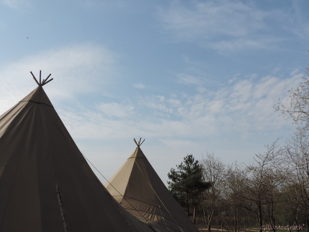 2015 04 15 blue sky wigwams jpg sig
