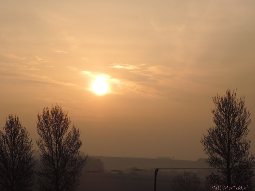 2015 04 16  644 sunrise jpg sig
