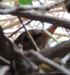 2015 04 17 mother jpg sig