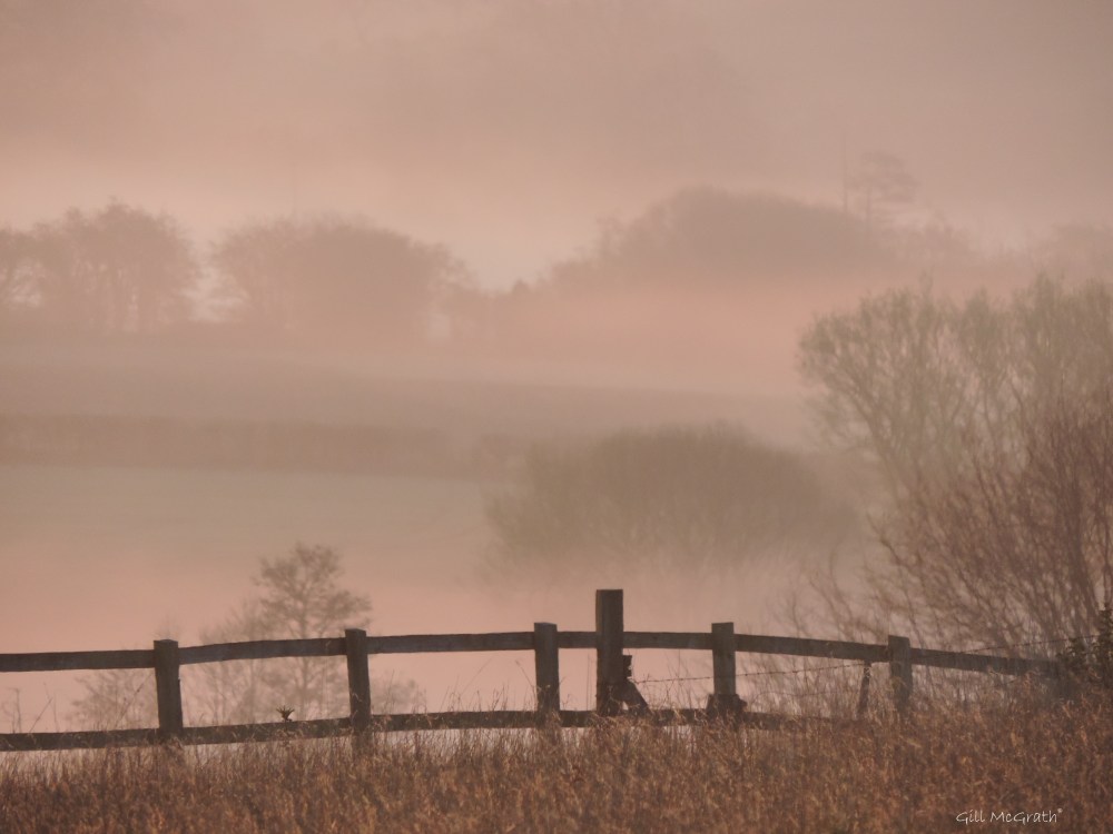 2015 04 20 617 pink sky 4 jpg sig