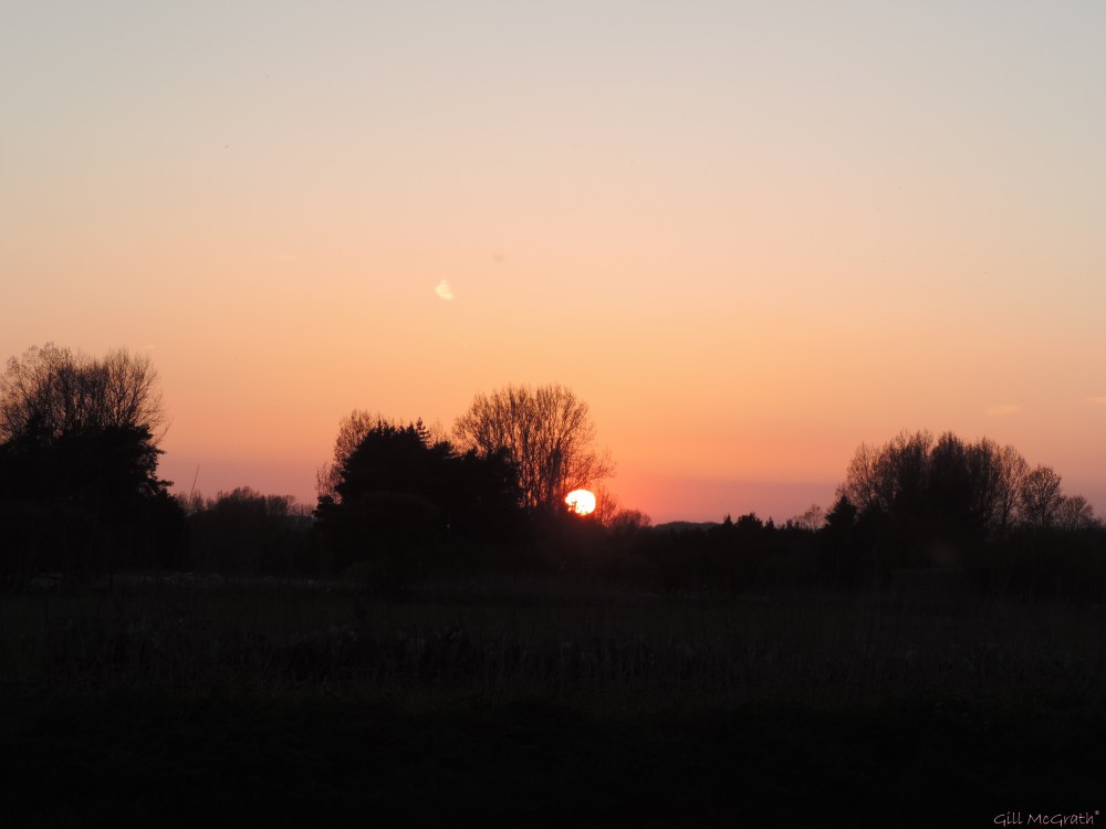 2015 04 21 808 sunset 3 jpg sig