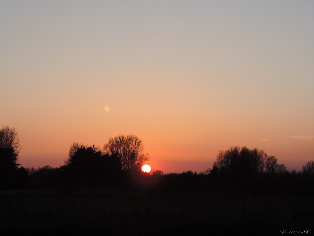 2015 04 21 808 sunset 4 jpg sig