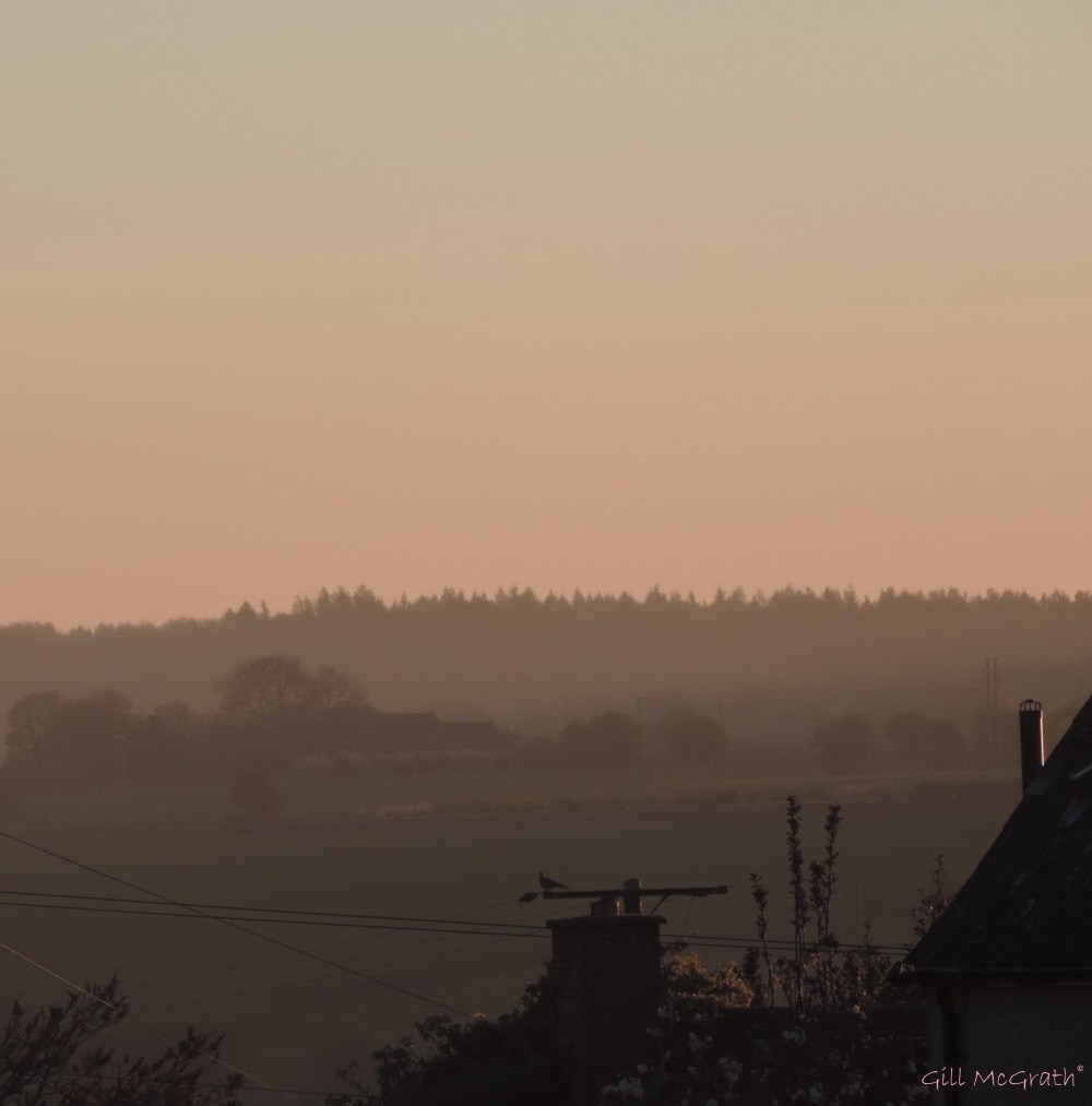 2015 04 22 over the wires jpg sig