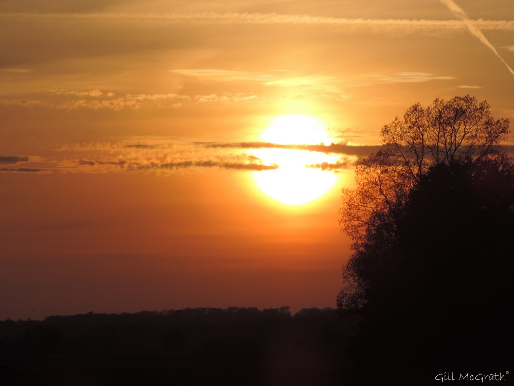 2015 04 23 sunset detail DSCN1762jpg sig