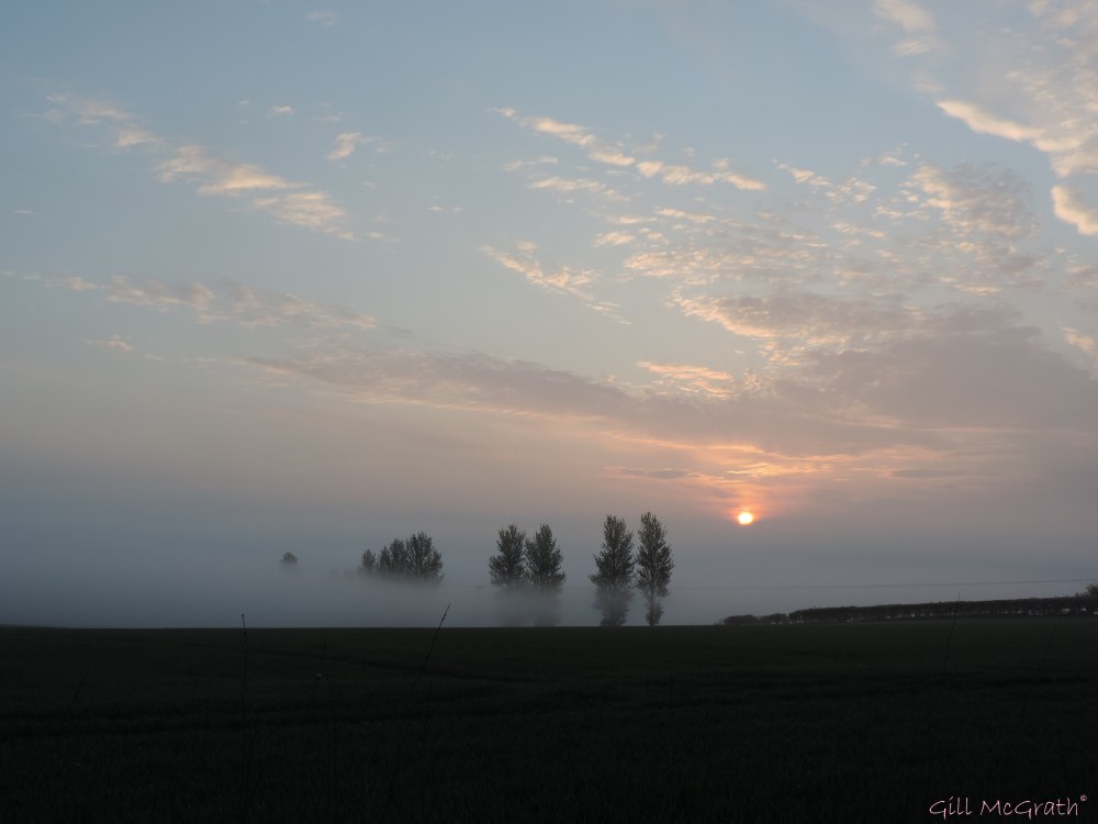 2015 04 24  610 sunrise DSCN1829 jpg sig