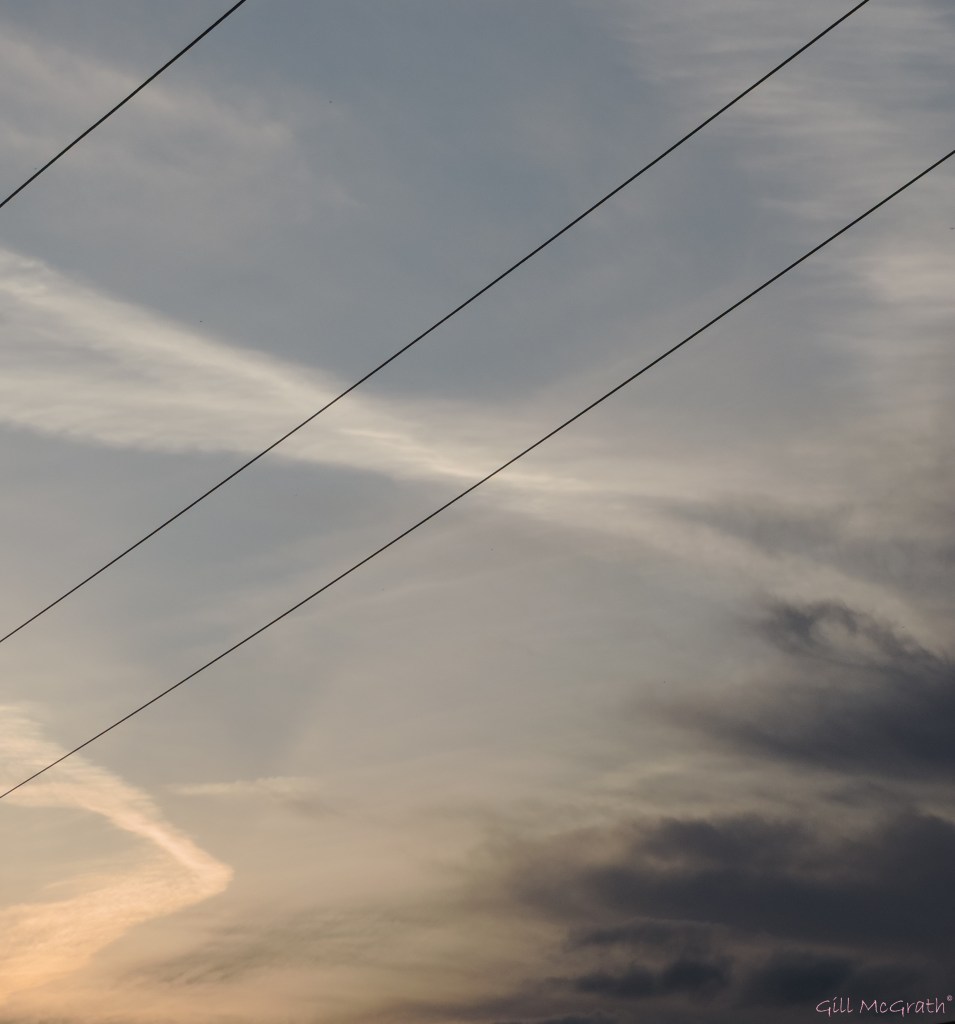 2  2015 05 10 pink stars 1 DSCN4172 jpg sig